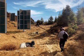 Gondosolar